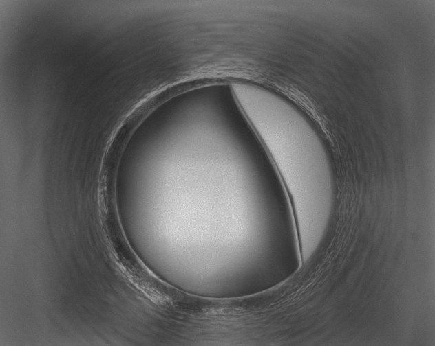 X0000084560680200702231002