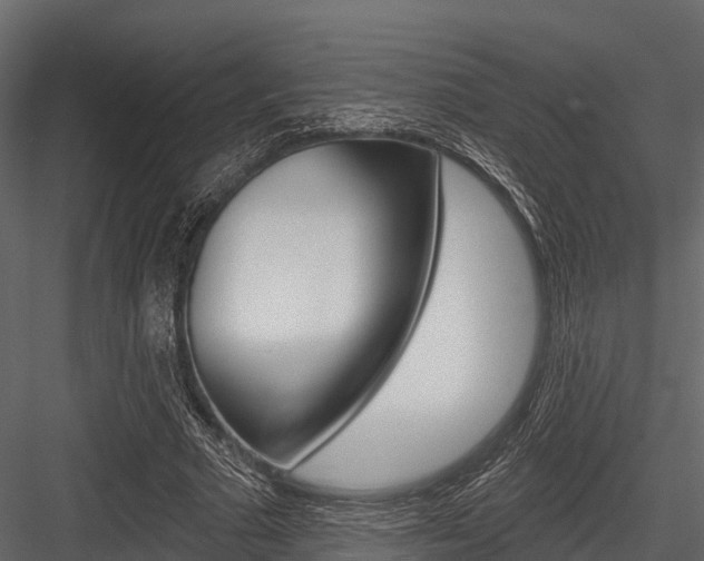 X0000084560681200702231002