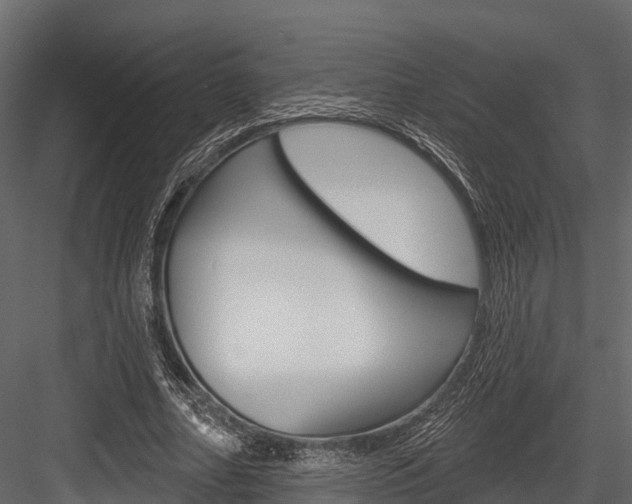 X0000084560682200702231002
