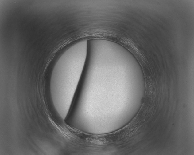 X0000084560683200702231002