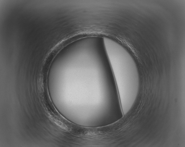X0000084560684200702231002
