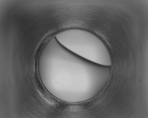 X0000084560686200702231002