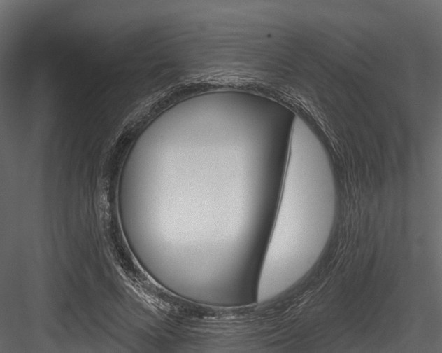 X0000084560688200702231002