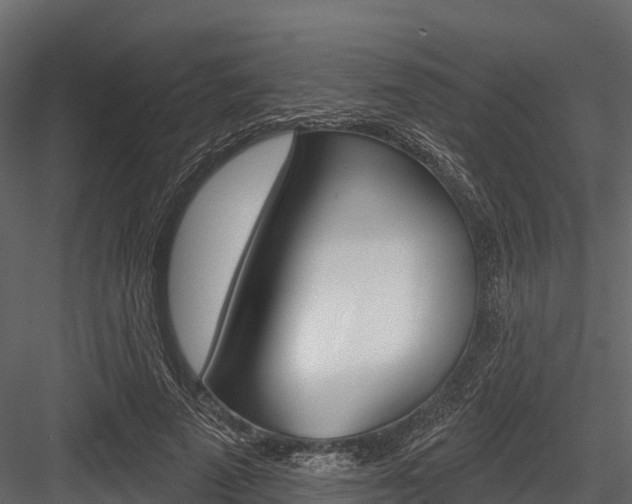 X0000084560689200702231002