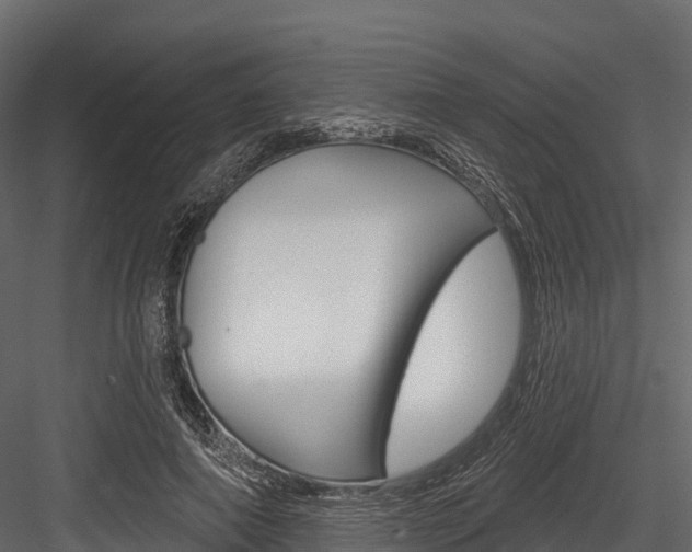 X0000084560690200702231002