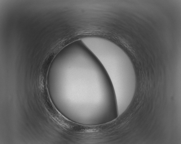 X0000084560692200702231002