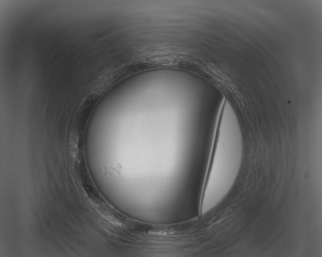 X0000084560693200702231002