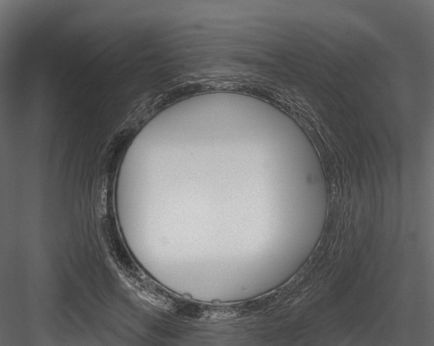 X0000084560694200702231002