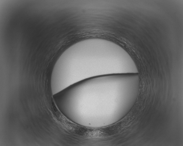 X0000084560695200702231002