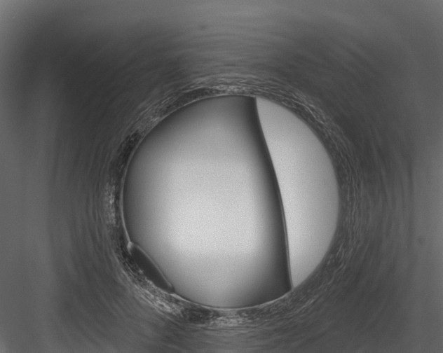X0000084560696200702231002