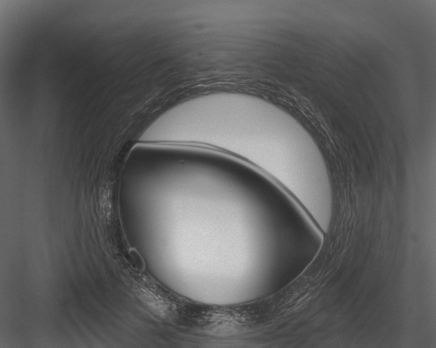 X0000084560697200702231002