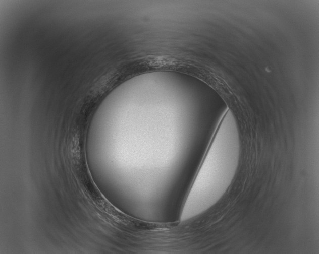 X0000084560700200702231002