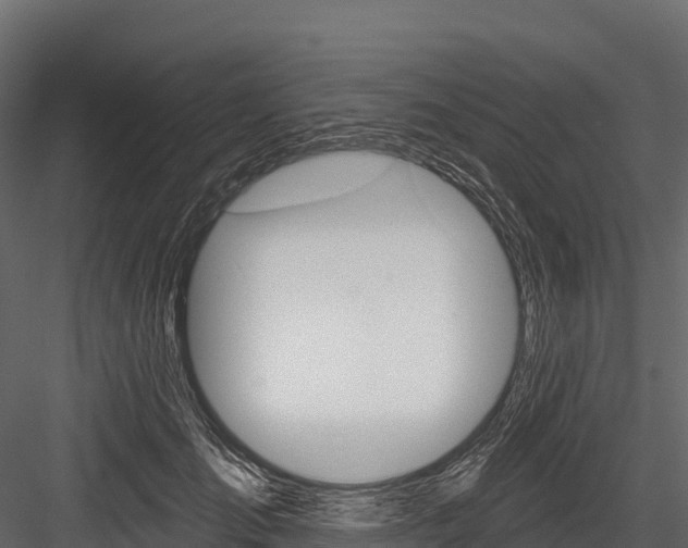 X0000084560701200702231002