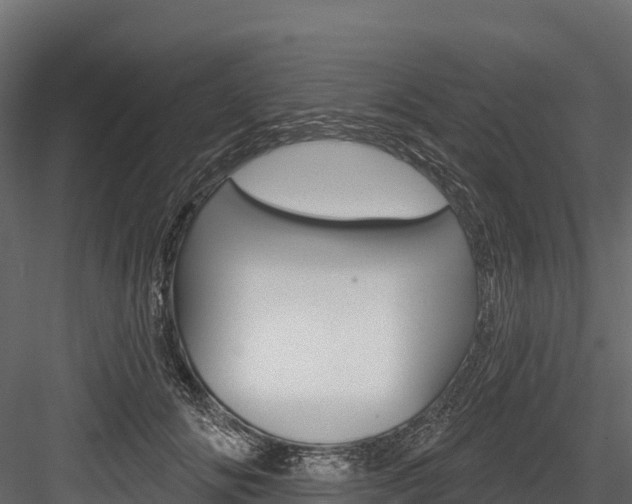 X0000084560702200702231002