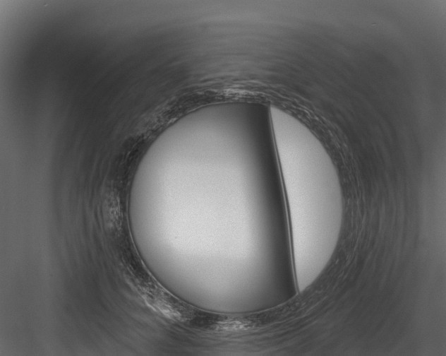 X0000084560704200702231002