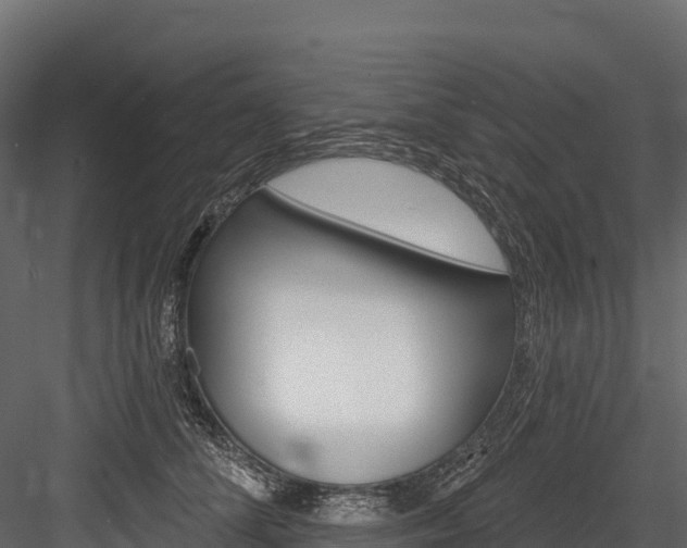 X0000084560708200702231002