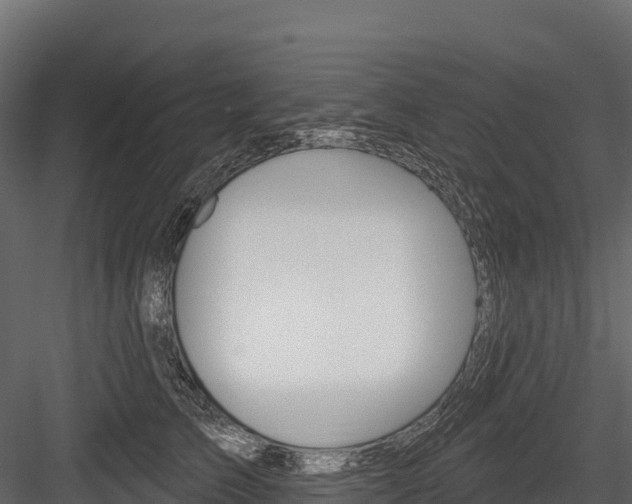 X0000084560709200702231002