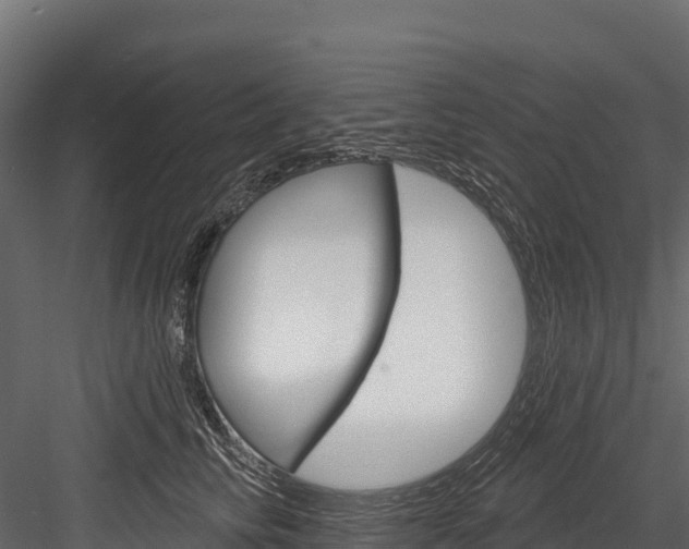 X0000084560710200702231002