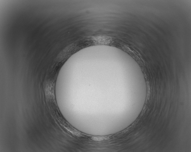 X0000084560713200702231001