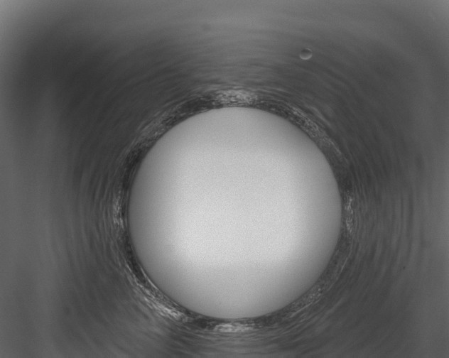 X0000084560714200702231001