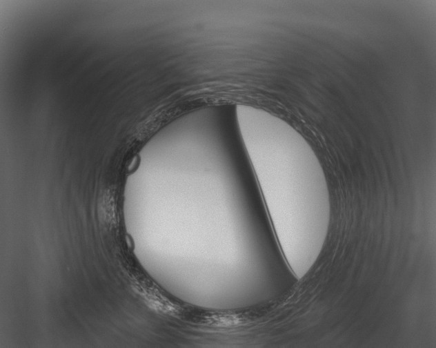 X0000084560715200702231001