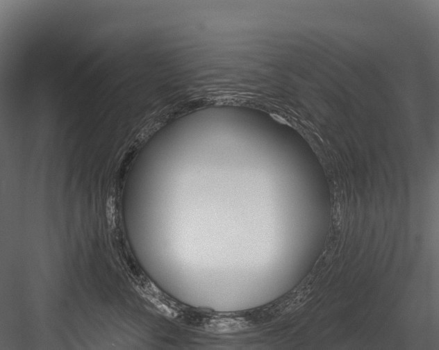 X0000084560716200702231001