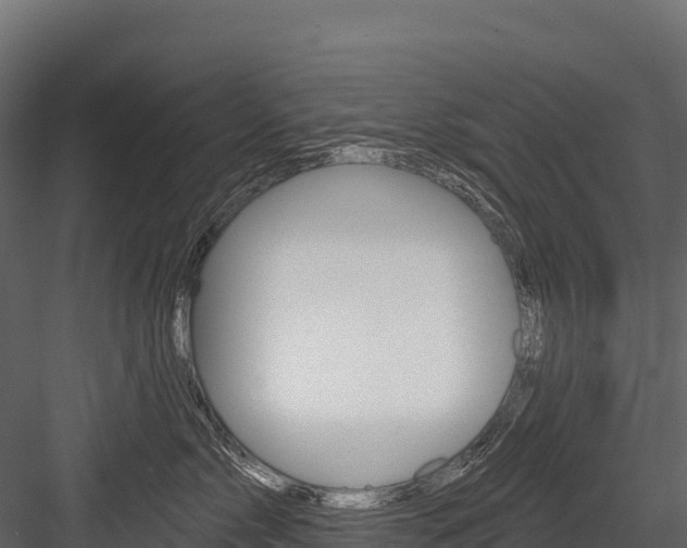 X0000084560717200702231001