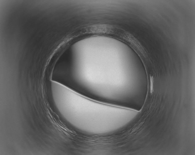 X0000084560723200702231001