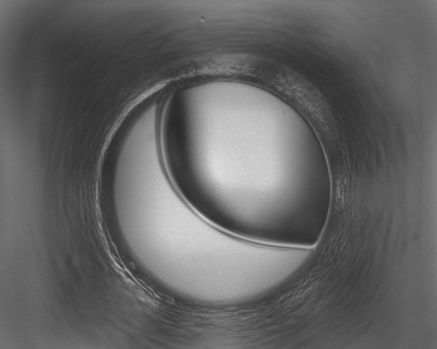 X0000084560724200702231001