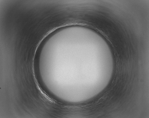 X0000084560726200702231001