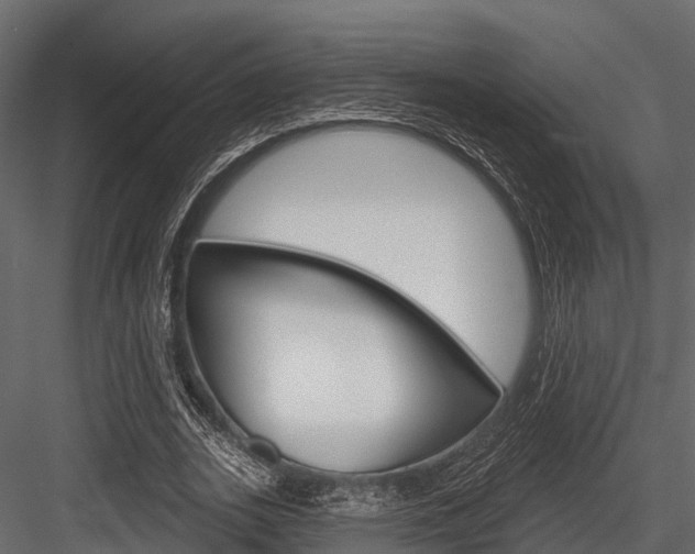 X0000084560727200702231001