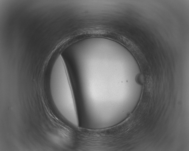 X0000084560731200702231001