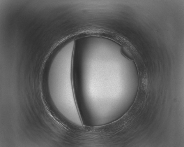 X0000084560732200702231001