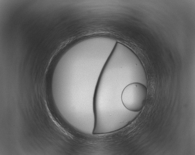 X0000084560734200702231001