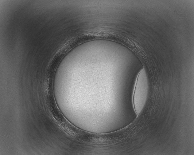 X0000084560735200702231001