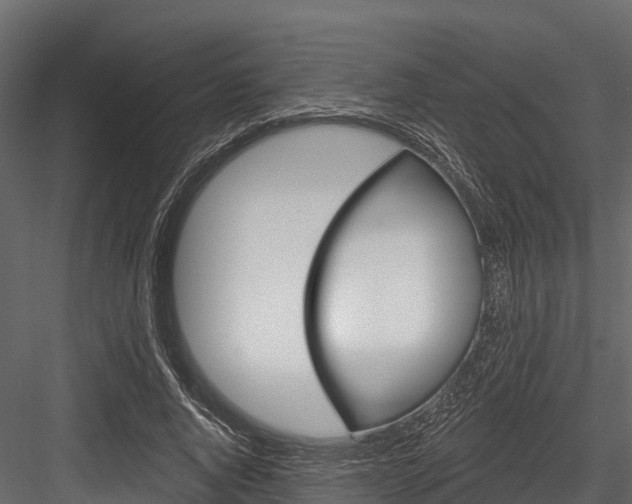 X0000084560736200702231001