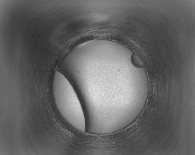X0000084560737200702231001
