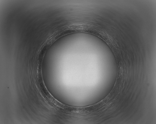 X0000084560739200702231001