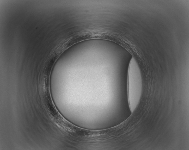 X0000084560740200702231001