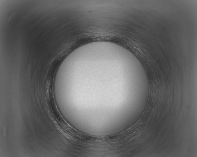 X0000084560742200702231001