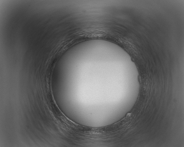 X0000084560743200702231001