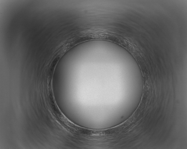 X0000084560744200702231001