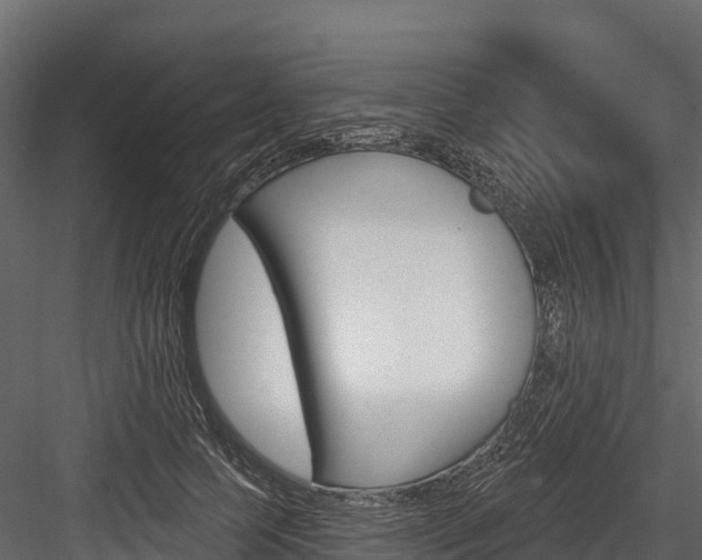 X0000084560745200702231001