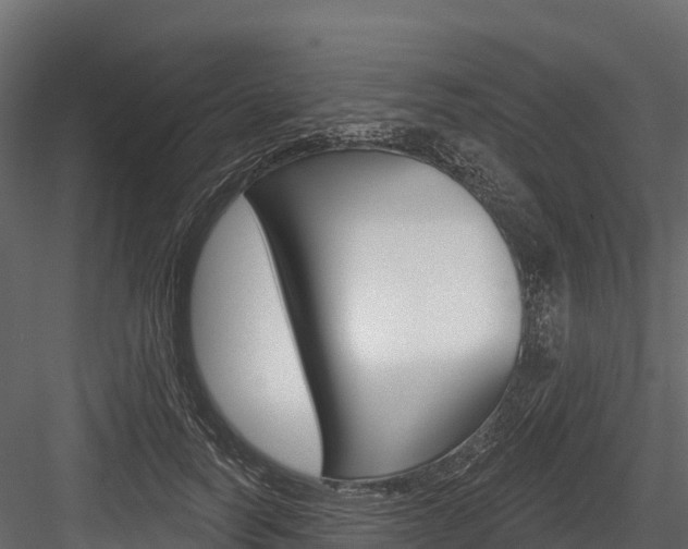 X0000084560746200702231001