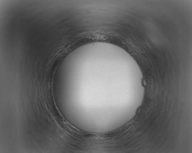 X0000084560747200702231001