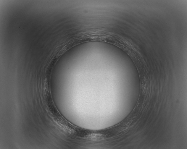 X0000084560748200702231001