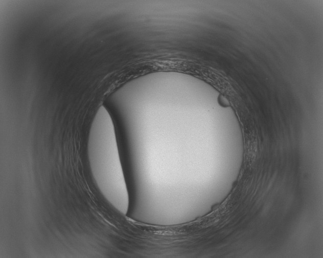 X0000084560749200702231001