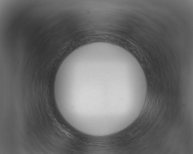 X0000084560750200702231001