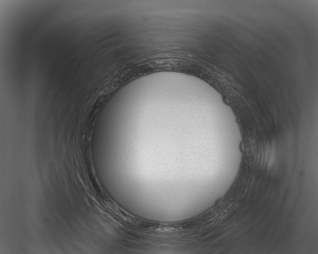 X0000084560751200702231001