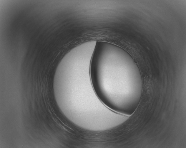 X0000084560752200702231001